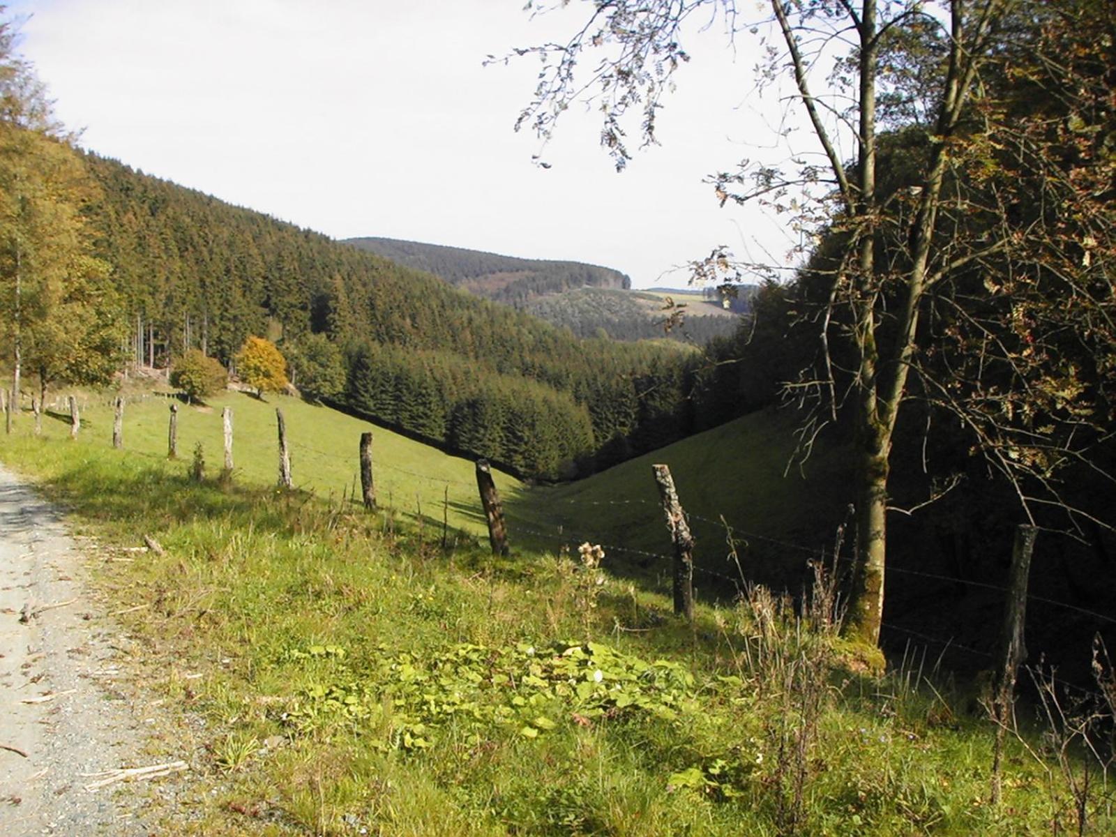 Sonneneck Hotel Winterberg Exterior foto